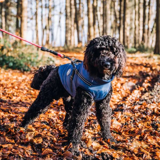 🎄Winter Warm Haustier Hund Wasserdichte Jacke mit Geschirr🐩