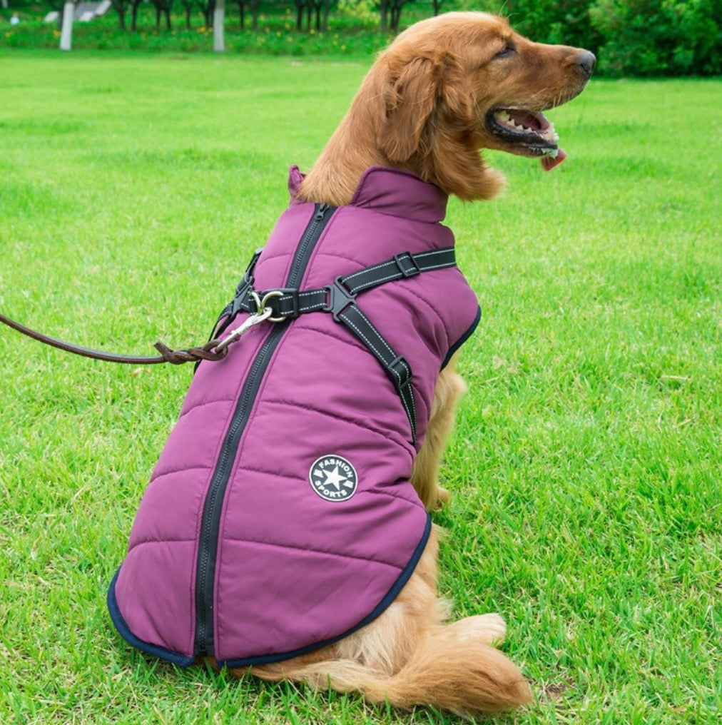 🎄Winter Warm Haustier Hund Wasserdichte Jacke mit Geschirr🐩