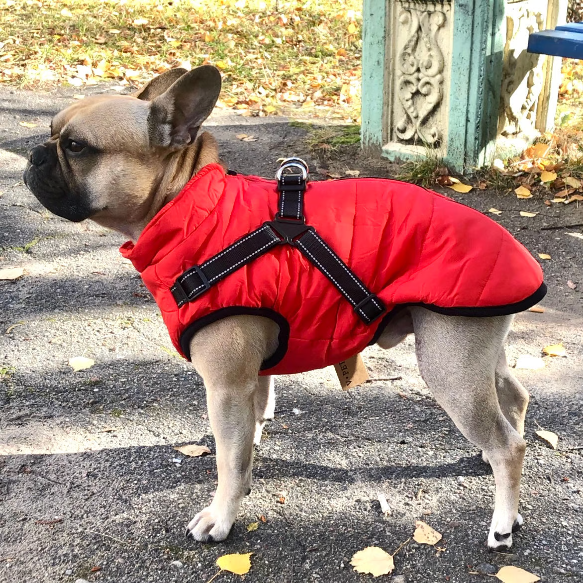 🎄Winter Warm Haustier Hund Wasserdichte Jacke mit Geschirr🐩