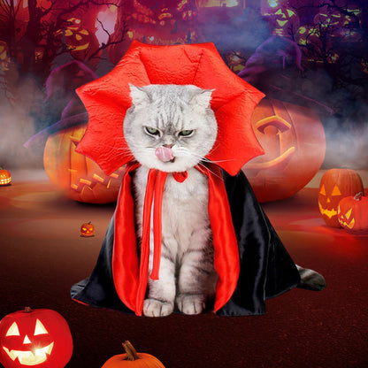 🎃Heißer Verkauf 49%OFF🔥Halloween-Haustierumhang