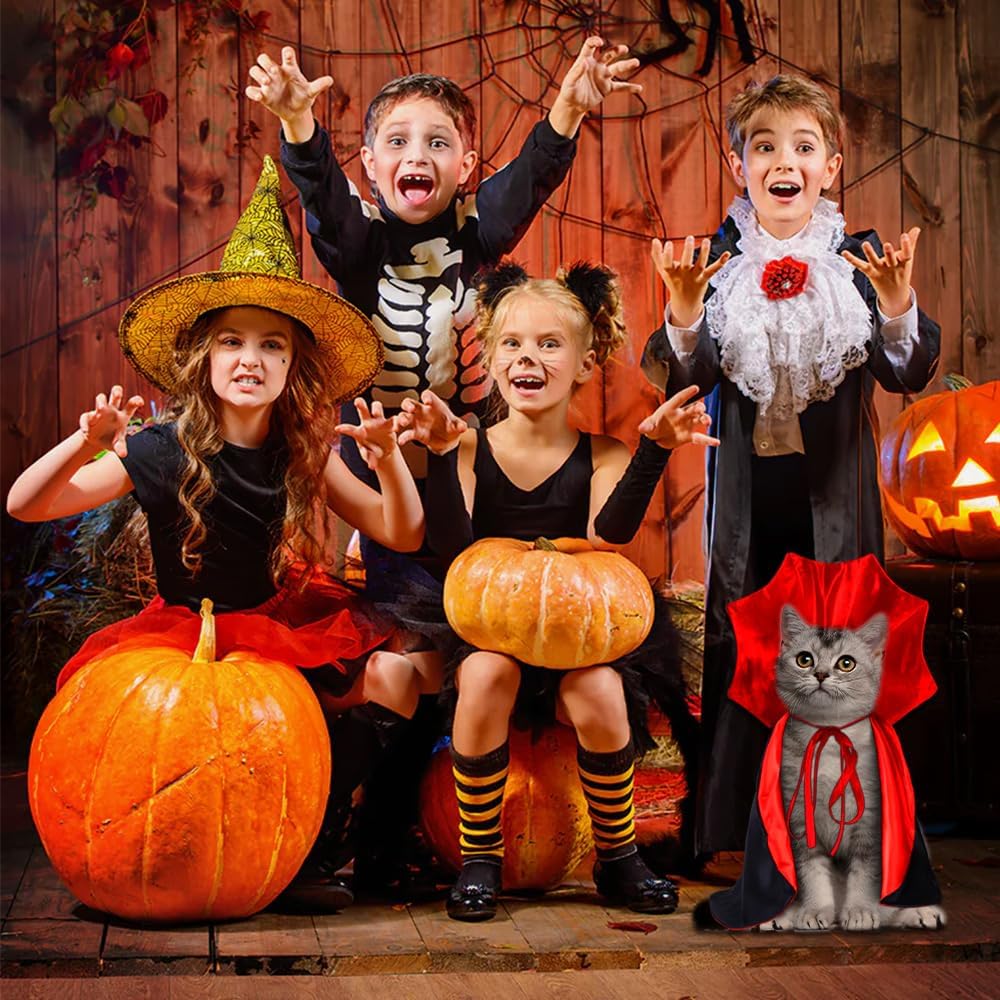🎃Heißer Verkauf 49%OFF🔥Halloween-Haustierumhang