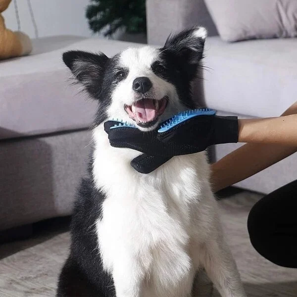 Bequee Hochwertiger Fellpflege-Handschuh für Hund & Katze