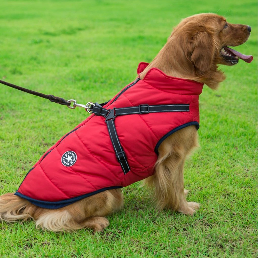 🎄Winter Warm Haustier Hund Wasserdichte Jacke mit Geschirr🐩