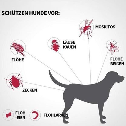 Haustier Anti Floh & Zecken Badesalz Kugel
