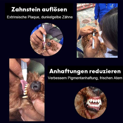 Haustier Hund / Katze Zähne Reinigungsstift