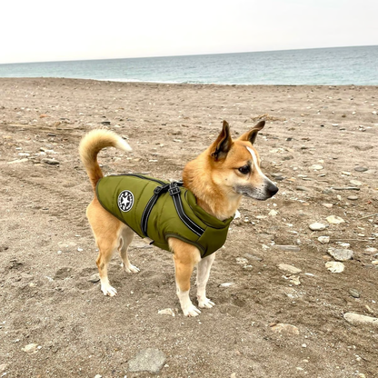 🎄Winter Warm Haustier Hund Wasserdichte Jacke mit Geschirr🐩